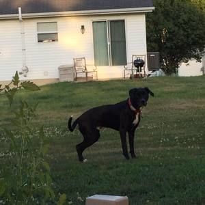 Meet your Posher, Tina